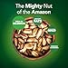 It's Good Energy Organic Brazil Wild Nuts | Raw Brazil Nuts | 100% Wild Grown, Sustainably Collected | Prevents Deforestation | Rich in Selenium | Non-GMO, Natural Snack | 7oz Pouch