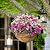 Karlliu 4 Pack 12 Inch Hanging Planters for Outdoor Plants Metal Watering Flower Baskets with Coco Liner for Hanging Pot Round Plant Holders Planter for Outside Garden Decoration