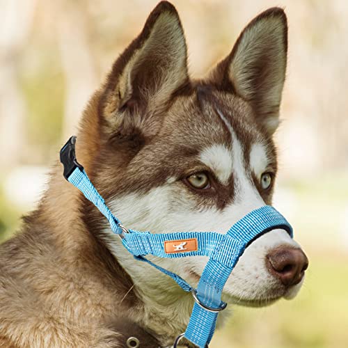 Dog Head Collar With Silk Thread, Soft And Adjustable Head Halter Collar For Small Medium Large Dogs In Striped Pattern(L,Blue) #TOP5