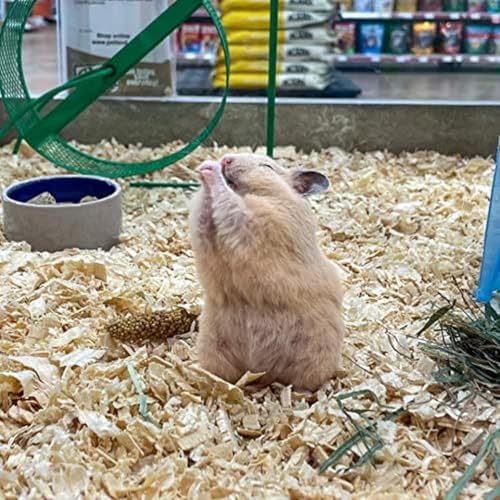 Alimento orgánico Blue Mountain Hay para animales pequeños 40 oz miniatura 7