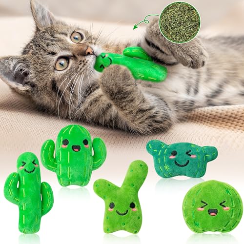 MALLMALL6 Catnip Toys for Cat - 5Pcs Cactus Prickly Plants Catmint Interactive Kitten Toy for Indoor...
