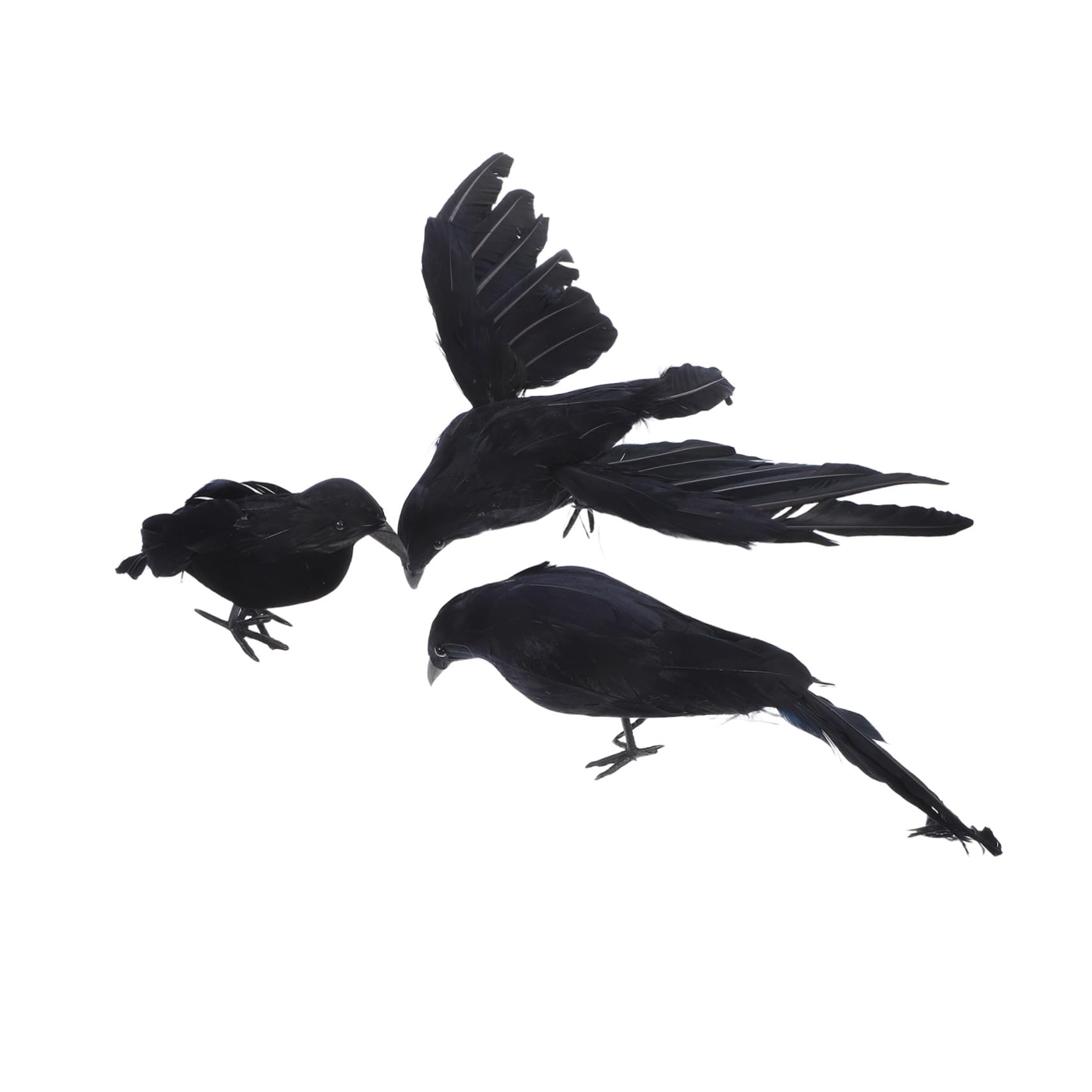 Corbeaux noirs réutilisables d'Halloween : décoration oiseaux pour intérieur et jardin