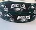 Grosgrain Ribbon 7/8" Eagles Sports Football Green Printed - Per Yard