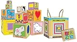  Eco-cubes et livre. Ediz. illustrata: Découvre les chiffres, les formes, les couleurs, les animaux et l\'alphabet ! (Petite enfance)