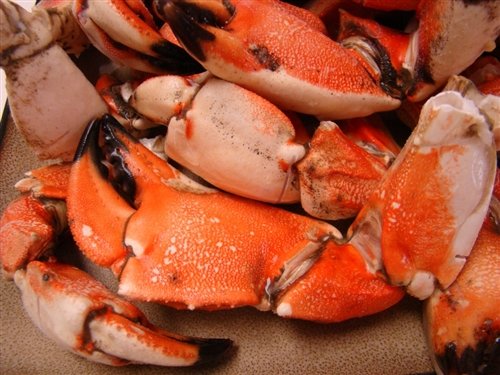 Amazon com: Rock Crab Claws (4 POUNDS) : Grocery Gourmet Food