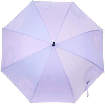 Amazon | 956DAF 【 TinyTAN 公式ライセンスグッズ 】傘 長傘 レイン Amazon | 956DAF 【 TinyTAN 公式ライセンスグッズ 】傘 長傘 レイン