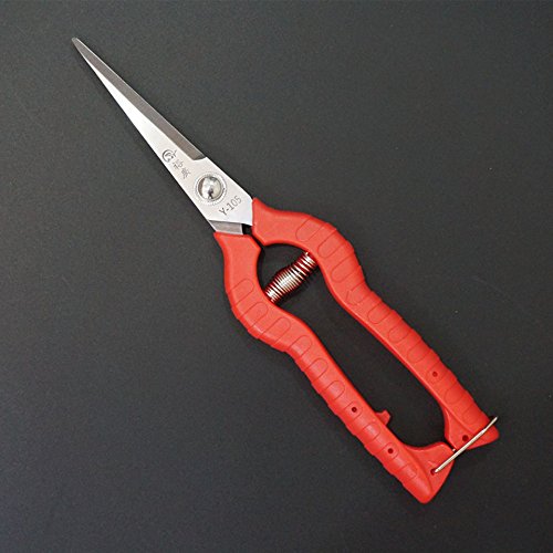 Generic Plant Pruning Scissors Garden Cutter Gardening Bonsai Tools