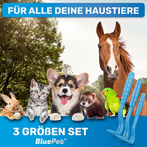 BluePet 3er Set Zeckenhaken für Hunde, Katze, Pferd & Mensch - Zeckenhebel als bewährter Zeckenentferner zur Zeckenzangen I Alternative zu Zeckenpinzette, Zeckendreher, Zeckenschutz & Zeckenmittel
