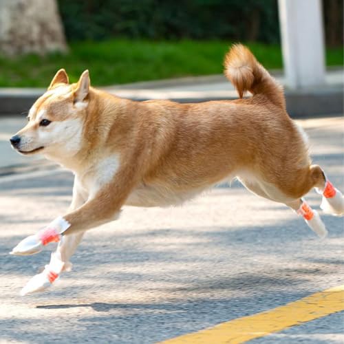 SGERUFZ 40PCS Einweg-Hundeschuhe, Einweg-Hundestiefel, Pfotenschutz, Verstellbare Einweg-Hundesocken, Waterproof Haustiersocken Fußabdeckung, Pet Shoe Covers/Paw Protection