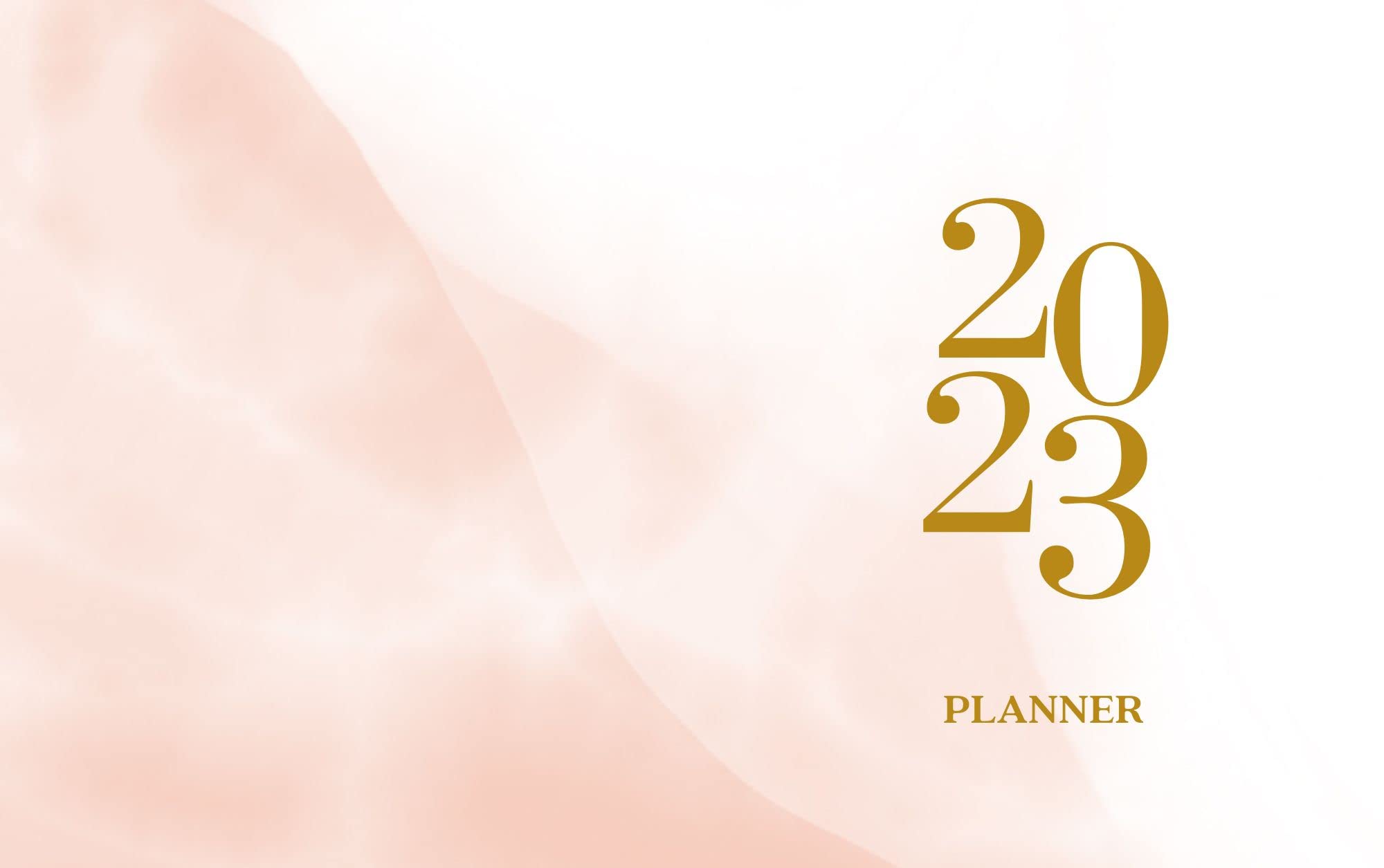 Agenda 2023 journalier et hebdomadaire organiseur 12 mois couverture fleurie rose
