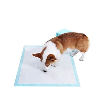 Multani Di Hatti Dog Training Pads/Training Pee and Potty Pads with Quick Drying Surface and Absorbent Core/Suitable for Small/Large Breed Puppies/Pets - 30 Count (60 X 45 cm)