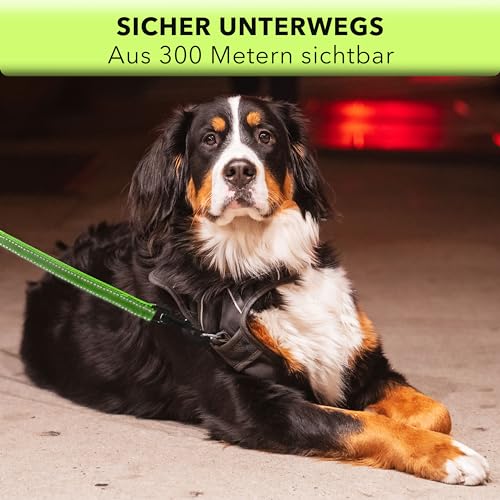 AVANA Hundeleine mit integriertem Kurzführer reflektierende Leine | 2 handschonende gepolsterte Handschlaufen | 1,5 Meter Führleine für große und mittelgroße Hunde - Neongrün