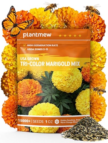 French Marigold Seeds - Heirloom Petite Tri-Color Mix - Vibrant Yellow/Orange Blooms - 15000+ Seeds for Outdoor Planting (Borders/Beds/Containers) - Quick Blooming Companion Plant Easy Grow
