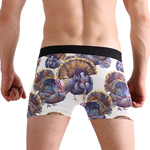 Chinese Dragon and Phoenix Men's Underwear Boxer Briefs Breathable, Multi3