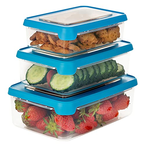 Top 10 Lunch Box Microwave Safe of 2022 Katynel