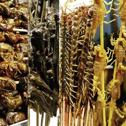 Tangent #101: A Podcast Podcast Podcast Por  arte de portada