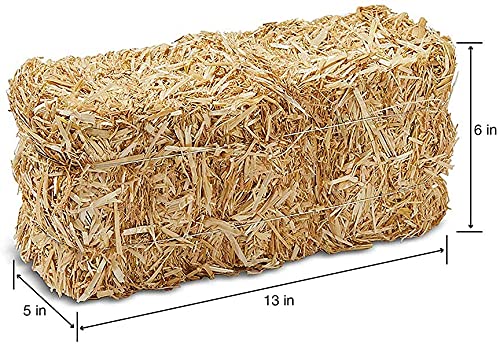Floracraft Straw Bales, 5-Inch-By-6-Inch-13- Inch Bale #TOP1