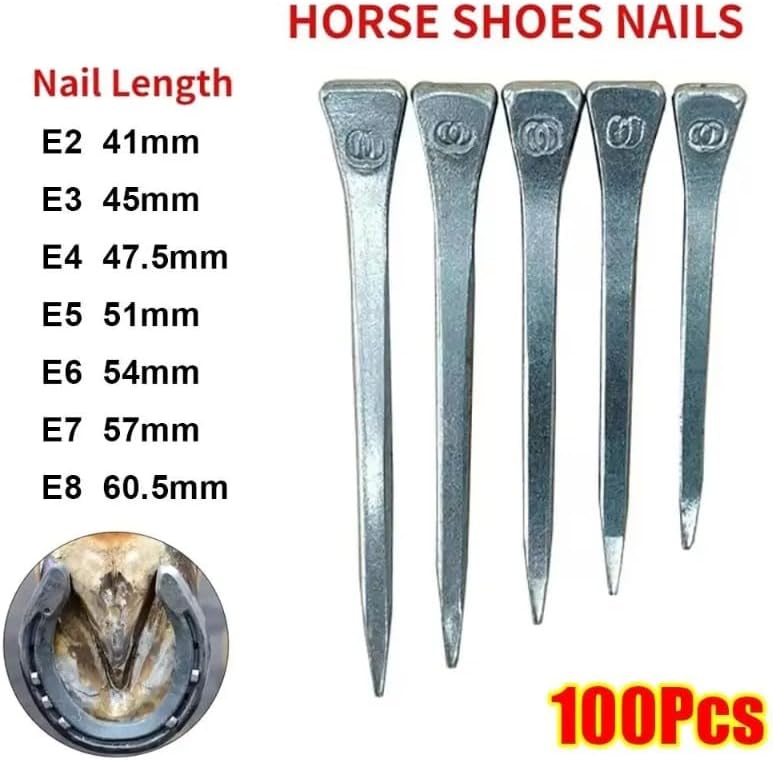 Horseshoe Nails, Steel Forged Fastening Structure: E2/E3/E4/E5/E6/E7/E8 Size Range - 100 Pcs Pack | Hoof Shoe Fixing Interface | Farrier Repair Shoeing Stable Use (E8 60.5mm)
