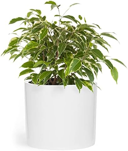 Fox & Fern Planter, Plant Pots Indoor, 12 Inch Planters for Indoor Plants, White Pots for Indoor Plants - Fits Mid Century Modern Plant Stand - Drainage - Fiberstone - Glossy White - 12 Inch Plant Pot