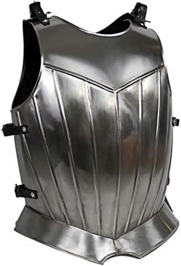 Medieval Knight Armor Flute Gothic Steel Breastplate Cosplay Cuirass Body Armor LARP SCA Halloween Renaissance Armor Costume