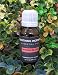Dragon Blood Essential Oils ~100% Pure and Natural Aromatherapy Massage Oil - Undiluted-(10ml)