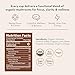 Lyfe Brew Organic Mushroom Coffee K-Cups Focus Blend with Lion's Mane, Chaga & Cordyceps for All Day Energy, Focus & Immune Support - 12 Pods