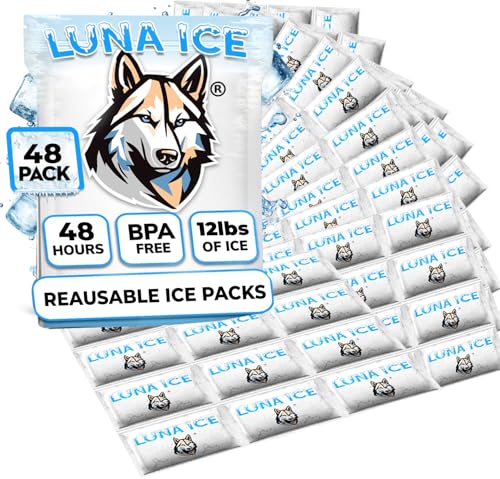 Dry Ice Packs for Shipping - Long Lasting ice Packs - 24+ Hour Freeze Power - BPA Free - 48 Pack Bulk 12 lb – Hielo Seco - Reusable Gel Bricks for Food