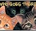 Fiddler's Elbow Peeping Toms Porch Doormat