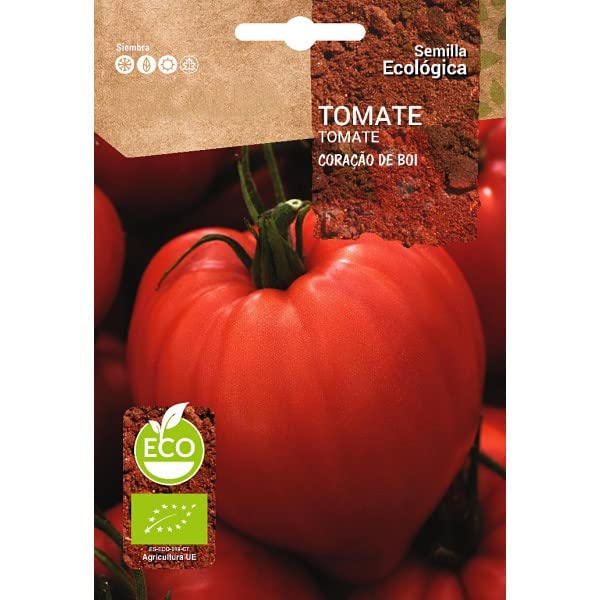 Semillas Naturales de Tomate Corazón de Buey Hortaliza para Ensaladas