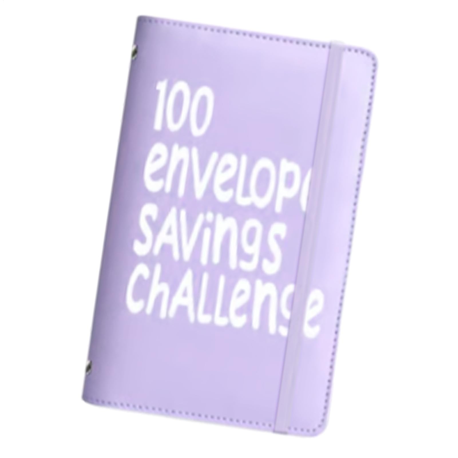 100 Tage Geldsparumschlag, Budgetaufbewahrungsbuch, Umschlag Geld sparen, Geldsparung, Geldbudget-Organizer, inklusive beschrifteten Umschlägen, Motivations-Tracker, 11 x 17,8 x 2 cm, für Damen