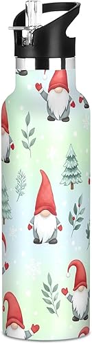 Kids Water Bottle for School 20 Oz Water Bottle Insulated for Boys Girls, BPA-Free, Gnomes Red Hats