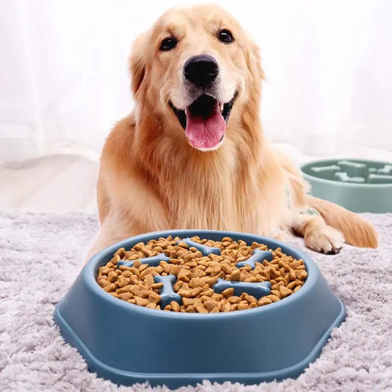RvPaws Happy Hunting Bowl Eating in Full of Fun Healthy Diet for Dog, Pet Slow Feeder Bowl Plastic - Color May Vary (B09MQWJPQ4) Amazon Price History, Amazon Price Tracker