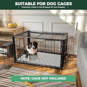 Fxw Washable Pee Pads for Dogs Puppy Pads with Super Absorbent 41 X 27 Specifically Designed for 42inch Cages Rectangle  Cucciolini Doodles Fxw washable pee pads for dogs puppy pads with super absorbent 41 x 27 specifically designed for 42inch cages rectangle   cucciolini doodles