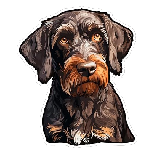 German Wirehaired Pointer Sticker 4 Wired Hair Poi Dog - Waterproof Animal Vinyl Decal for Laptop Water Bottle Car Tumbler - Durable Aesthetic Long-Lasting Stickers for Adults ID44990