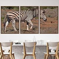 3 Piece Framed Canvas Wall Art Black and White Animals Canvas Prints Home Artwork Decoration for Living Room,Bedroom - 16