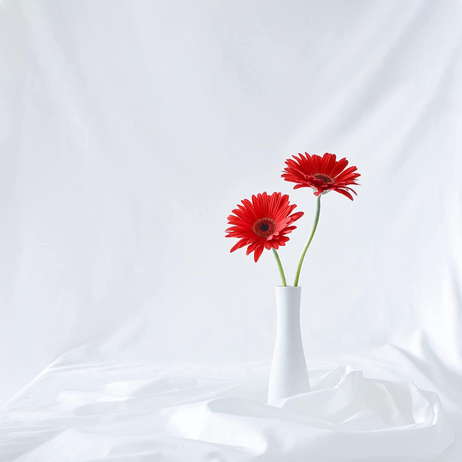 Fondo de Fotografía de 3 x 3,6 M, Fondo Fotográfico de 100% Poliéster con 8 Pinzas Grandes de Estudio, Pantalla Blanco para Fotografía, Video, Estudio, Cine, Televisión