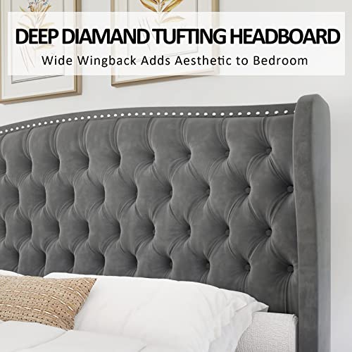 King Size Velvet Upholstered Platform Bed Frame with Wingback Headboard - Grey