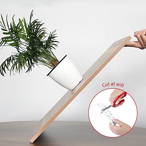 Lifelf - 12 pinze per tappeti per pavimenti duri