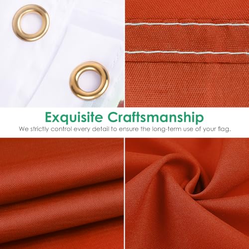 Image of AhfuLife Guyana Flag 3x5 Ft, Large Guyanese Flags for Outside - Double Side with Brass Eyelets for Olympic Party Decorations, Soccer Party Decoration Bar Garden Street Decoration Indoor Outdoor