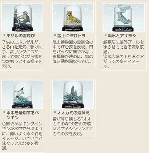 Amazon.co.jp: 海洋堂 旭山動物園 旭山 カプセルズー スノードーム vol