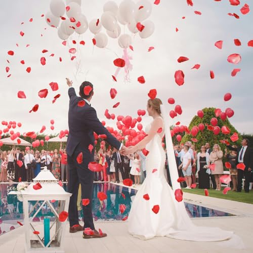 Shintayl 5FA0109-8 1200Pcs Rose Petals For Bedroom - Fake Roses Petal Faux Flowers, Artificial Roses Petals thumb #3