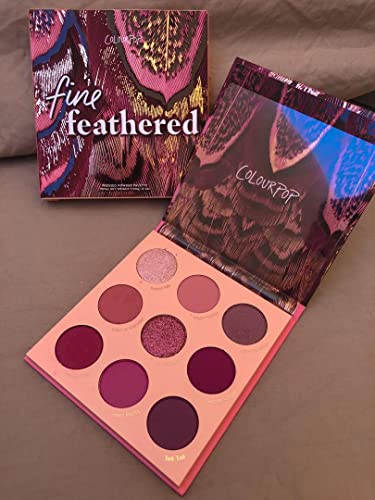 Colourpop ColourPop Eyeshadow Palette (FINE FEATHERED), 0.3 Ounce (Pack of 1)