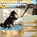 Chunful Dog Training Platform Non-Skid Surface Place Board for Dog Portable Agility Training Equipment Pivot Box for Indoor or Outdoor Use Puppy Stand Place Boards (27.95 x 17.99 x 4.53 Inch,Blue)