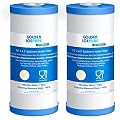 GOLDEN ICEPURE PP10BB-CC Whole House Water Filter Cartridge, 5 Micron 10" x 4.5" FXHTC Sediment and Carbon Water Filter Replacement Cartridge for GXWH40L, GXWH35F, GNWH38S, RFC-BBSA, WRC25HD