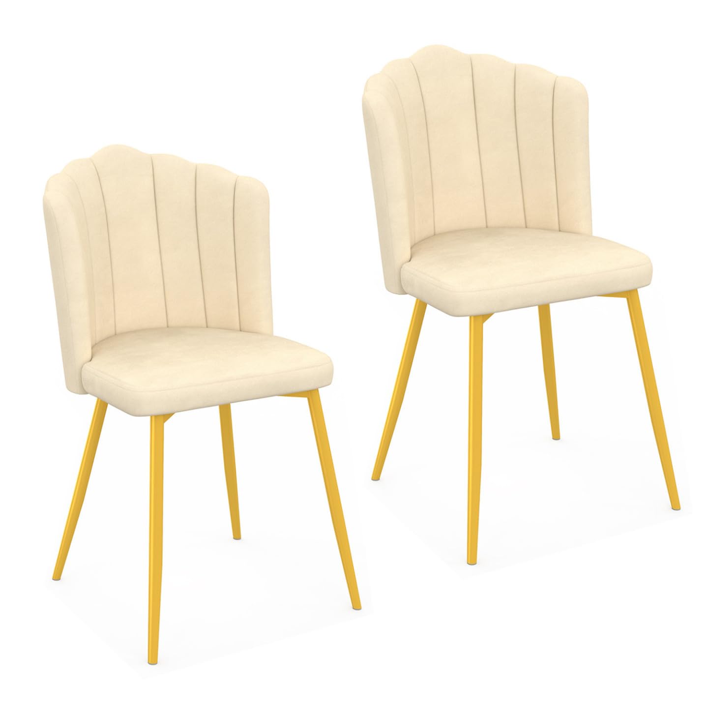 IDMarket – Juego de 2 sillas de concha Adella Beige de terciopelo con patas doradas