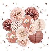 AOBKIAT Wedding Decorations - 12 PCS Rose Gold Paper Lantern Tissue Pom Pom Flower Daisy Confetti...