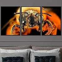 3 Piece Framed Canvas Wall Art Colorful Bee Insects Canvas Prints Home Artwork Decoration for Living Room,Bedroom - 16