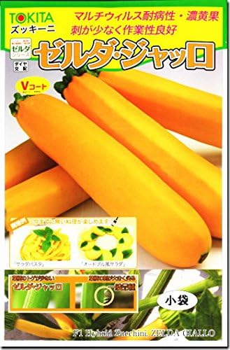 Amazon ズッキーニ 種子 ゼルダ ジャッロ 10粒 野菜