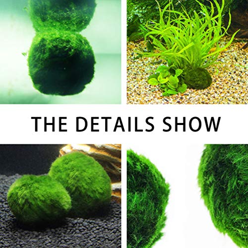 ULTECHNOVO 3 Pcs Marimo Musgo Bolas Algas Verdes Planta AquÃ¡tica AquÃ¡rio Peixes Tanque de CamarÃ£o