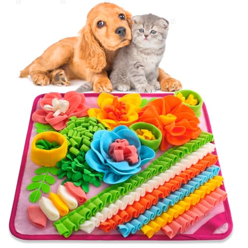 Are dogs good with rabbits